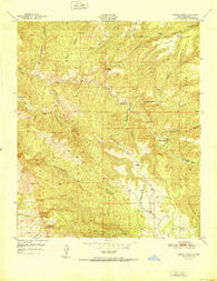 Dorsey Ranch New Mexico Historical topographic map, 1:24000 scale, 7.5 X 7.5 Minute, Year 1951