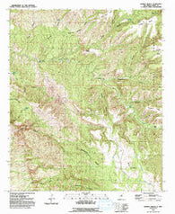 Dorsey Ranch New Mexico Historical topographic map, 1:24000 scale, 7.5 X 7.5 Minute, Year 1992