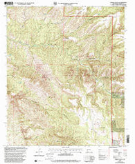 Dorsey Ranch New Mexico Historical topographic map, 1:24000 scale, 7.5 X 7.5 Minute, Year 1999