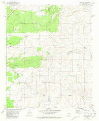 Duran NE New Mexico Historical topographic map, 1:24000 scale, 7.5 X 7.5 Minute, Year 1981