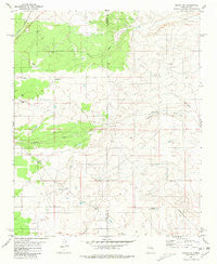 Duran NE New Mexico Historical topographic map, 1:24000 scale, 7.5 X 7.5 Minute, Year 1981