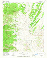 Dusty New Mexico Historical topographic map, 1:24000 scale, 7.5 X 7.5 Minute, Year 1965