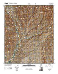 Dwyer New Mexico Historical topographic map, 1:24000 scale, 7.5 X 7.5 Minute, Year 2011
