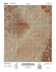 Dwyer SE New Mexico Historical topographic map, 1:24000 scale, 7.5 X 7.5 Minute, Year 2010