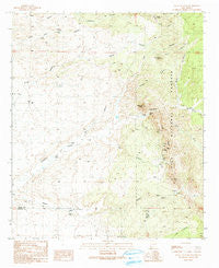 Eagle Eye Peak New Mexico Historical topographic map, 1:24000 scale, 7.5 X 7.5 Minute, Year 1990