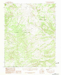 East Gavilan Canyon New Mexico Historical topographic map, 1:24000 scale, 7.5 X 7.5 Minute, Year 1983