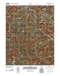 East Gavilan Canyon New Mexico Historical topographic map, 1:24000 scale, 7.5 X 7.5 Minute, Year 2011