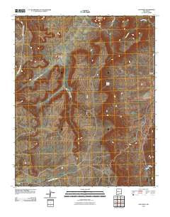 East Mesa New Mexico Historical topographic map, 1:24000 scale, 7.5 X 7.5 Minute, Year 2010