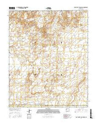 East of Grey Hill Spring New Mexico Current topographic map, 1:24000 scale, 7.5 X 7.5 Minute, Year 2017