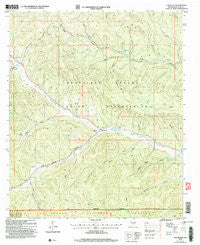 Elk-Silver New Mexico Historical topographic map, 1:24000 scale, 7.5 X 7.5 Minute, Year 2004