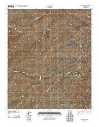 Encino Draw New Mexico Historical topographic map, 1:24000 scale, 7.5 X 7.5 Minute, Year 2010