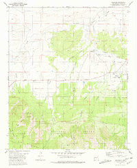 Encinoso New Mexico Historical topographic map, 1:24000 scale, 7.5 X 7.5 Minute, Year 1981