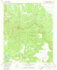 Escondido Mountain New Mexico Historical topographic map, 1:24000 scale, 7.5 X 7.5 Minute, Year 1981