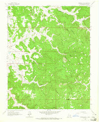 Espinosa Ranch New Mexico Historical topographic map, 1:24000 scale, 7.5 X 7.5 Minute, Year 1963