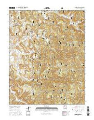 Espinosa Ranch New Mexico Current topographic map, 1:24000 scale, 7.5 X 7.5 Minute, Year 2017