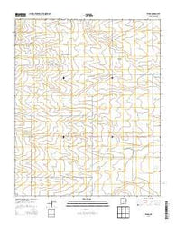 Ewing New Mexico Historical topographic map, 1:24000 scale, 7.5 X 7.5 Minute, Year 2013