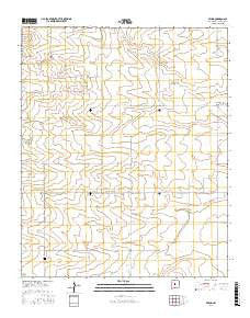 Ewing New Mexico Current topographic map, 1:24000 scale, 7.5 X 7.5 Minute, Year 2017