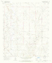 Fallon Ranch New Mexico Historical topographic map, 1:24000 scale, 7.5 X 7.5 Minute, Year 1964