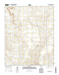 Fallon Ranch New Mexico Historical topographic map, 1:24000 scale, 7.5 X 7.5 Minute, Year 2013