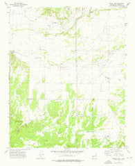 Fence Lake New Mexico Historical topographic map, 1:24000 scale, 7.5 X 7.5 Minute, Year 1972