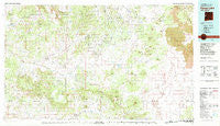 Fence Lake New Mexico Historical topographic map, 1:100000 scale, 30 X 60 Minute, Year 1981