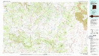 Fence Lake New Mexico Historical topographic map, 1:100000 scale, 30 X 60 Minute, Year 1981