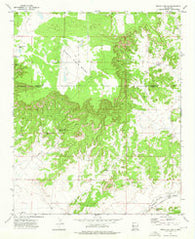 Fence Lake SW New Mexico Historical topographic map, 1:24000 scale, 7.5 X 7.5 Minute, Year 1972