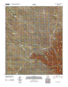 Fence Canyon New Mexico Historical topographic map, 1:24000 scale, 7.5 X 7.5 Minute, Year 2010