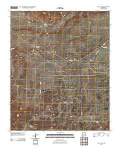 Fence Lake New Mexico Historical topographic map, 1:24000 scale, 7.5 X 7.5 Minute, Year 2010