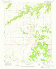 Fiddler Springs New Mexico Historical topographic map, 1:24000 scale, 7.5 X 7.5 Minute, Year 1972