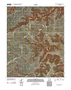Fiddler Springs New Mexico Historical topographic map, 1:24000 scale, 7.5 X 7.5 Minute, Year 2010