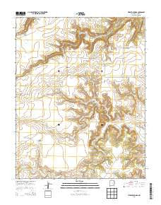 Fiddler Springs New Mexico Historical topographic map, 1:24000 scale, 7.5 X 7.5 Minute, Year 2013
