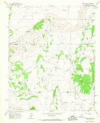 Field Ranch New Mexico Historical topographic map, 1:24000 scale, 7.5 X 7.5 Minute, Year 1964