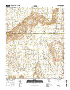 Field Ranch New Mexico Current topographic map, 1:24000 scale, 7.5 X 7.5 Minute, Year 2017