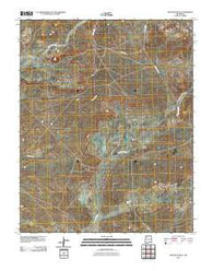 Fire Rock Well New Mexico Historical topographic map, 1:24000 scale, 7.5 X 7.5 Minute, Year 2010