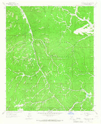 Firman Canyon New Mexico Historical topographic map, 1:24000 scale, 7.5 X 7.5 Minute, Year 1963