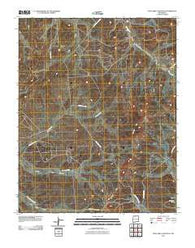 Five Lakes Canyon NE New Mexico Historical topographic map, 1:24000 scale, 7.5 X 7.5 Minute, Year 2010