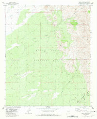 Fleck Draw New Mexico Historical topographic map, 1:24000 scale, 7.5 X 7.5 Minute, Year 1981