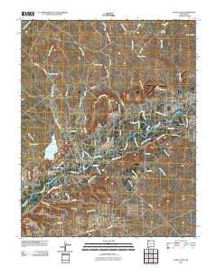 Flora Vista New Mexico Historical topographic map, 1:24000 scale, 7.5 X 7.5 Minute, Year 2010