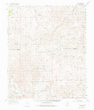 Flying H New Mexico Historical topographic map, 1:62500 scale, 15 X 15 Minute, Year 1961