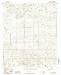 Flying H New Mexico Historical topographic map, 1:24000 scale, 7.5 X 7.5 Minute, Year 1989