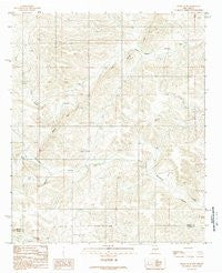 Flying H NE New Mexico Historical topographic map, 1:24000 scale, 7.5 X 7.5 Minute, Year 1989