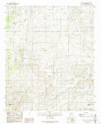 Flying H NW New Mexico Historical topographic map, 1:24000 scale, 7.5 X 7.5 Minute, Year 1989