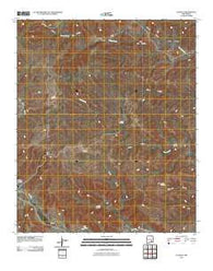 Flying H New Mexico Historical topographic map, 1:24000 scale, 7.5 X 7.5 Minute, Year 2010
