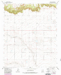 Forrest New Mexico Historical topographic map, 1:24000 scale, 7.5 X 7.5 Minute, Year 1971