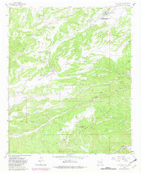 Fort Stanton New Mexico Historical topographic map, 1:24000 scale, 7.5 X 7.5 Minute, Year 1963