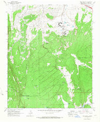 Fort Wingate New Mexico Historical topographic map, 1:24000 scale, 7.5 X 7.5 Minute, Year 1963