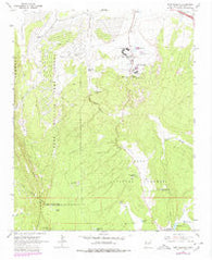 Fort Wingate New Mexico Historical topographic map, 1:24000 scale, 7.5 X 7.5 Minute, Year 1963