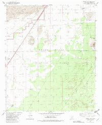 Foster Lake New Mexico Historical topographic map, 1:24000 scale, 7.5 X 7.5 Minute, Year 1982