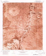 Foster Well New Mexico Historical topographic map, 1:24000 scale, 7.5 X 7.5 Minute, Year 1981